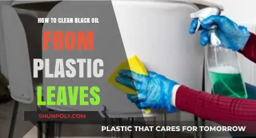 Effective Methods to Remove Black Oil Stains from Plastic Leaves