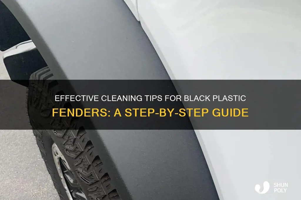 how to clean black plastic fenders