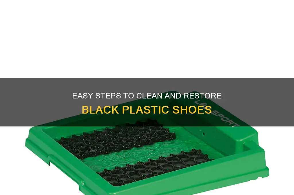 how to clean black plastic shoes