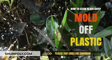 Effective Methods to Remove Black Sooty Mold from Plastic Surfaces