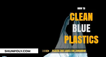 Effective Tips for Cleaning and Maintaining Blue Plastic Items
