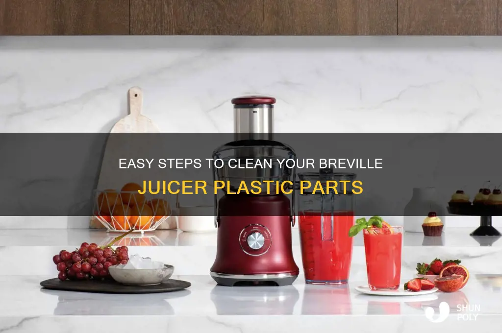 how to clean breville juicer plastic