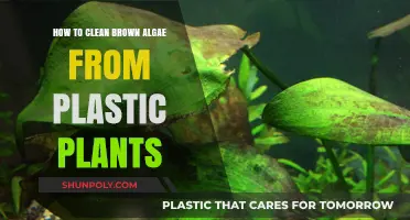 Effective Tips to Remove Brown Algae from Plastic Aquarium Plants
