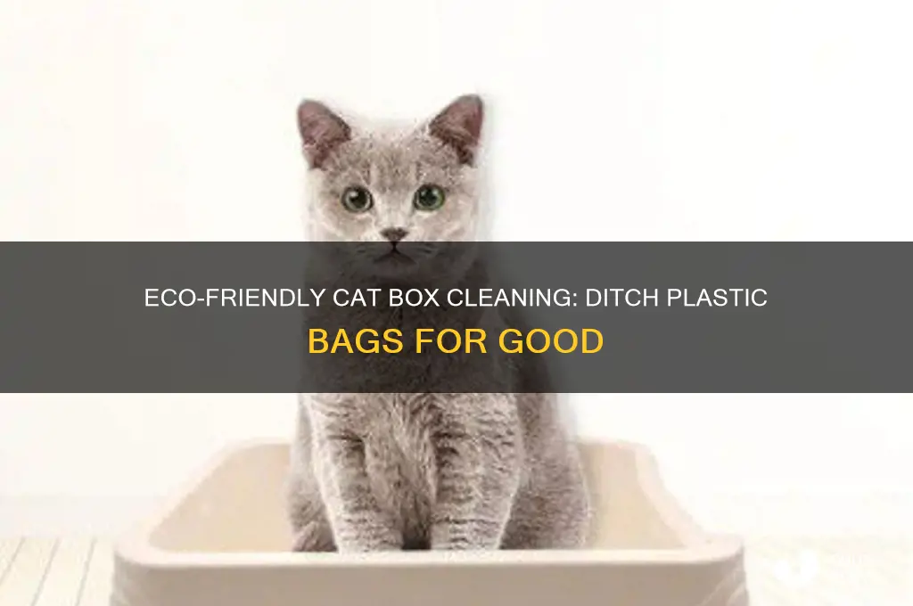how to clean cat box without plastic bags