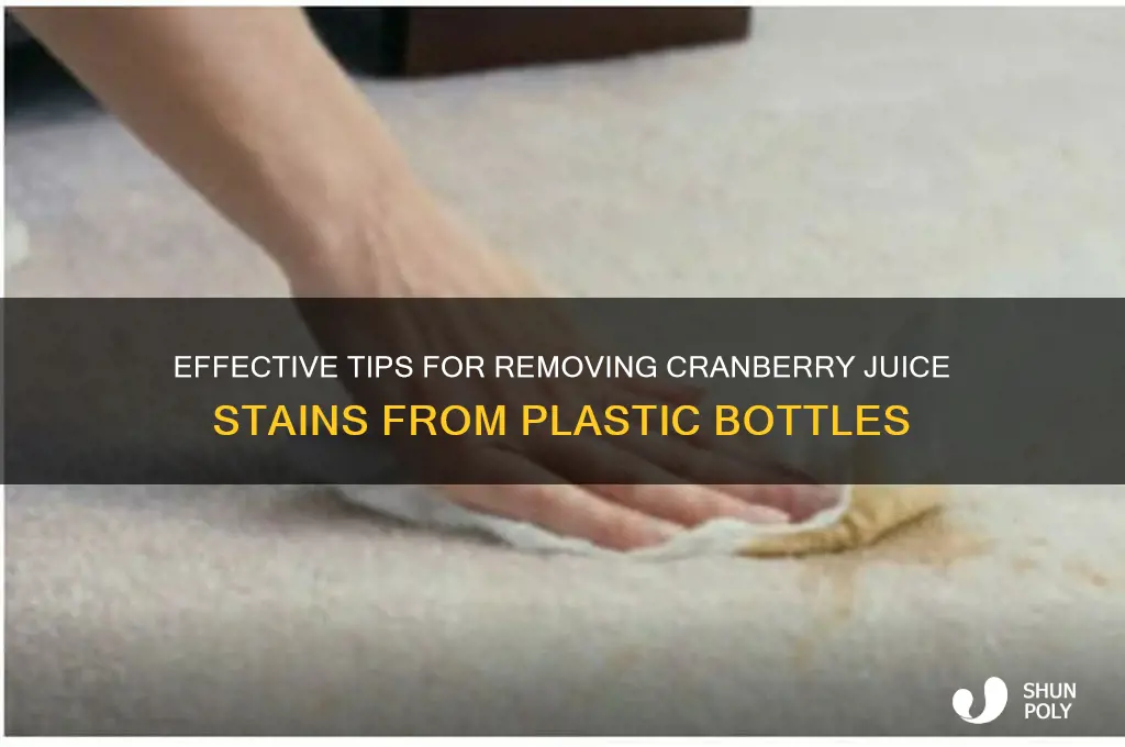 how to clean cranberry juice out of plastic bottles