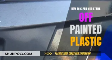 Effective Ways to Remove Mud Stains from Painted Plastic