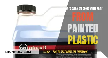 Effective Ways to Remove Gloss White Paint from Plastic