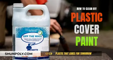 Effective Ways to Remove Paint from Plastic Covers