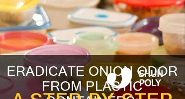 how to clean onion from plastic containers