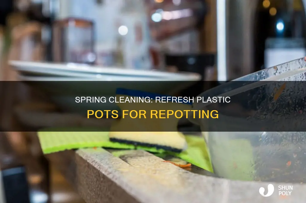 how to clean plastic containers for repotting