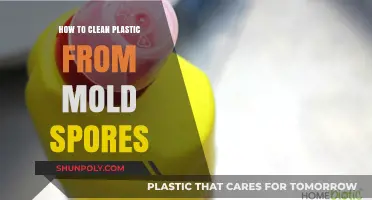 Effective Methods to Clean Plastic Surfaces from Mold Spores