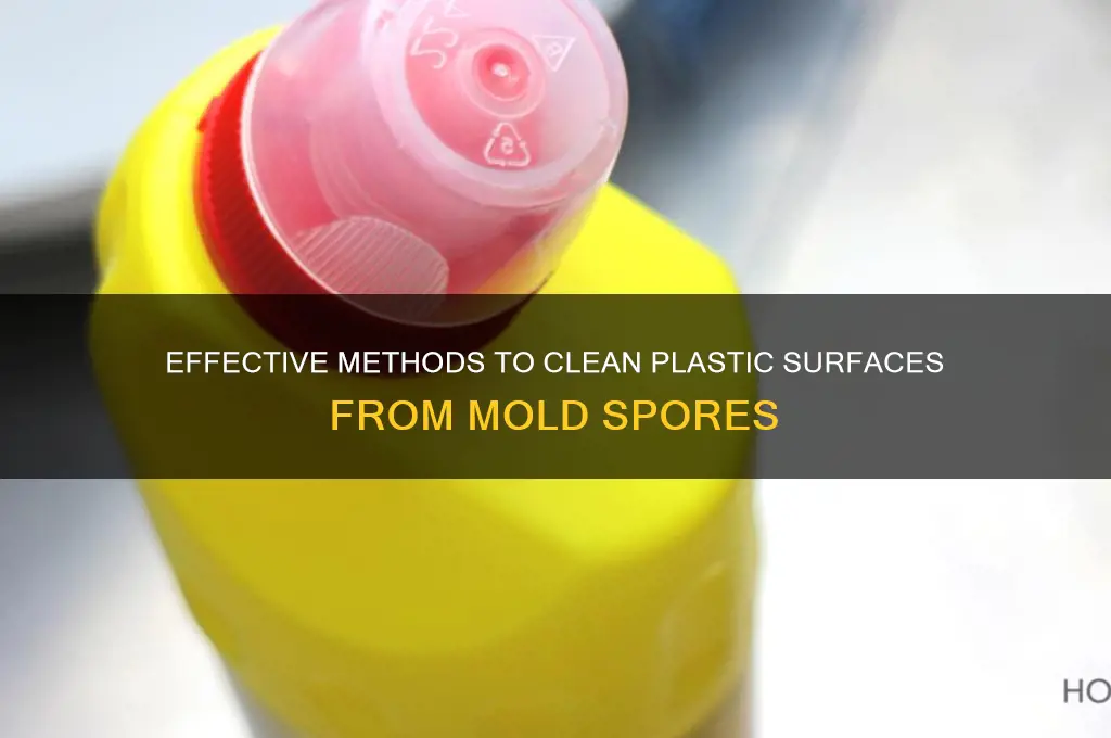 how to clean plastic from mold spores