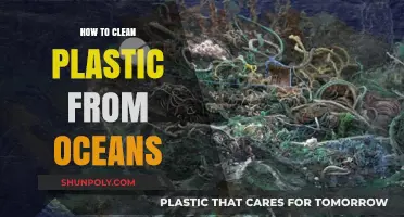 Effective Strategies to Remove Plastic Pollution from Our Oceans