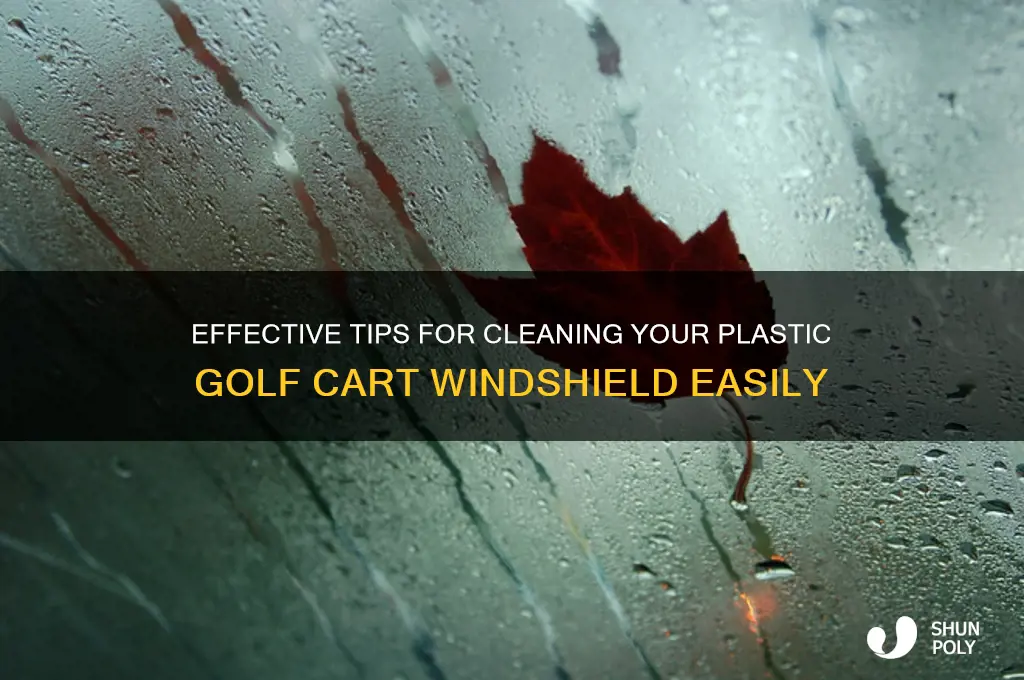 How To Clean A Golf Cart Windshield