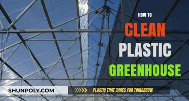 Effective Tips for Cleaning and Maintaining Your Plastic Greenhouse
