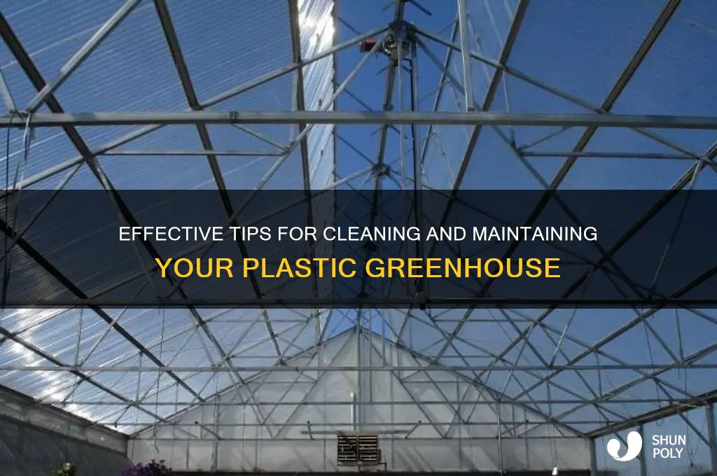 how to clean plastic greenhouse