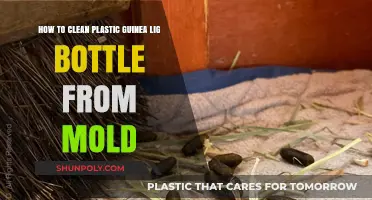 Effective Mold Removal: Cleaning Your Plastic Guinea Pig Water Bottle