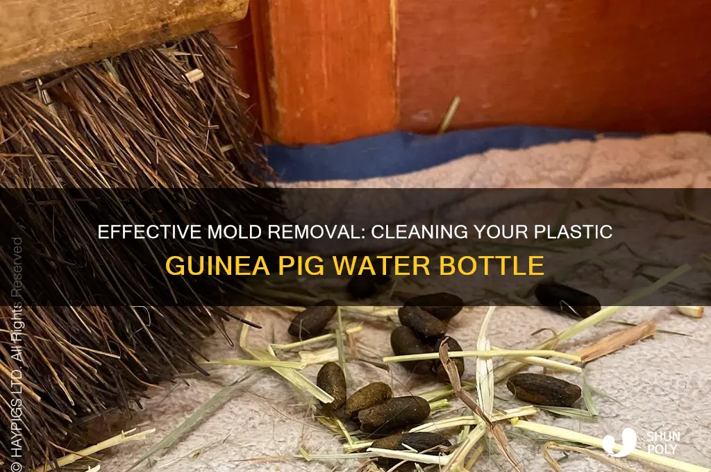 how to clean plastic guinea lig bottle from mold