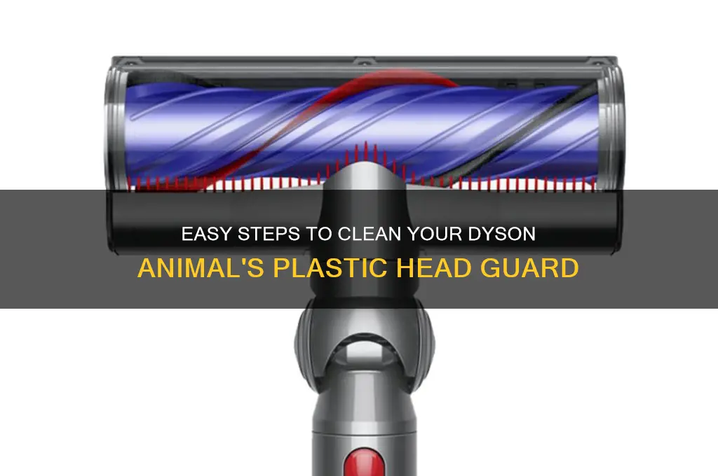 how to clean plastic head guard of dyson animal