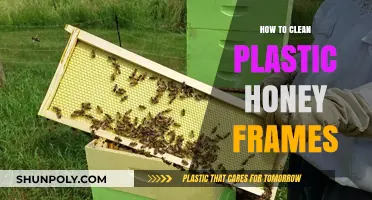 Effective Cleaning Tips for Plastic Honey Frames: A Step-by-Step Guide