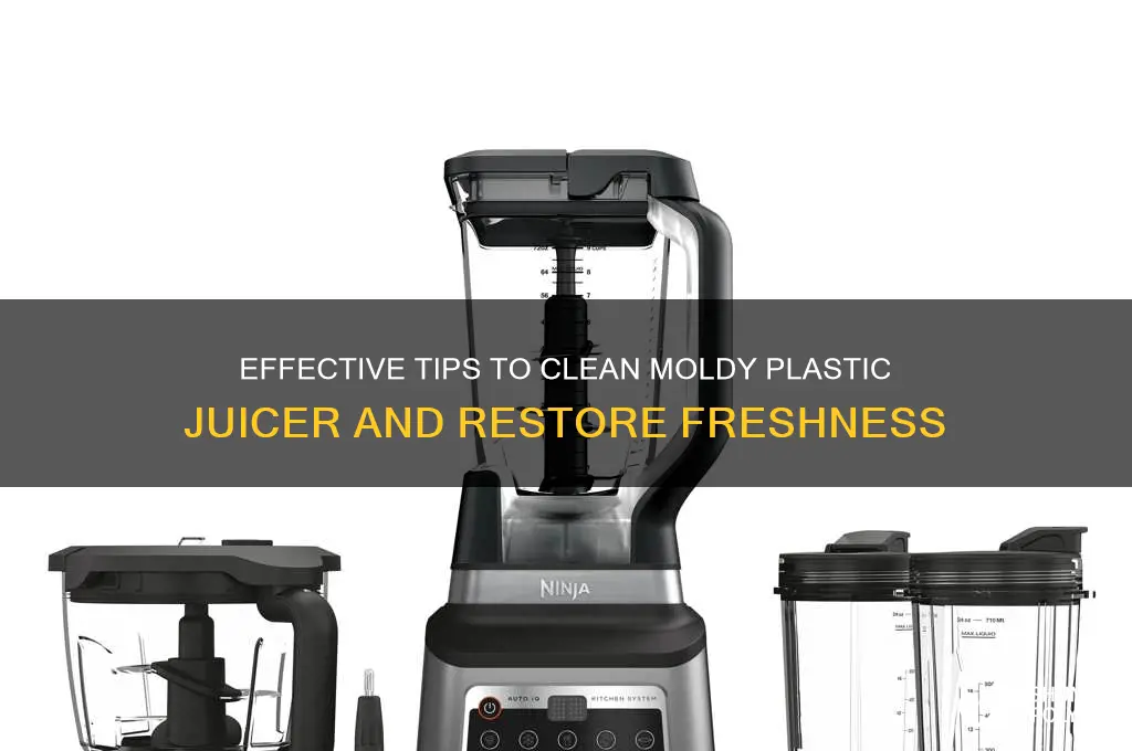 how to clean plastic juicer stained with fruit mold