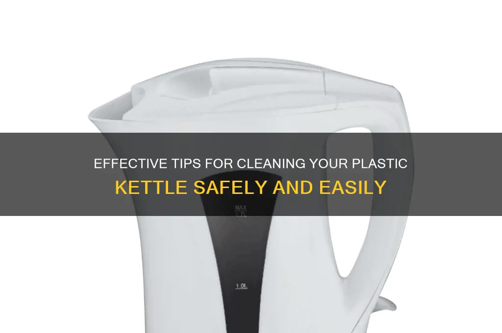 how to clean plastic kettle