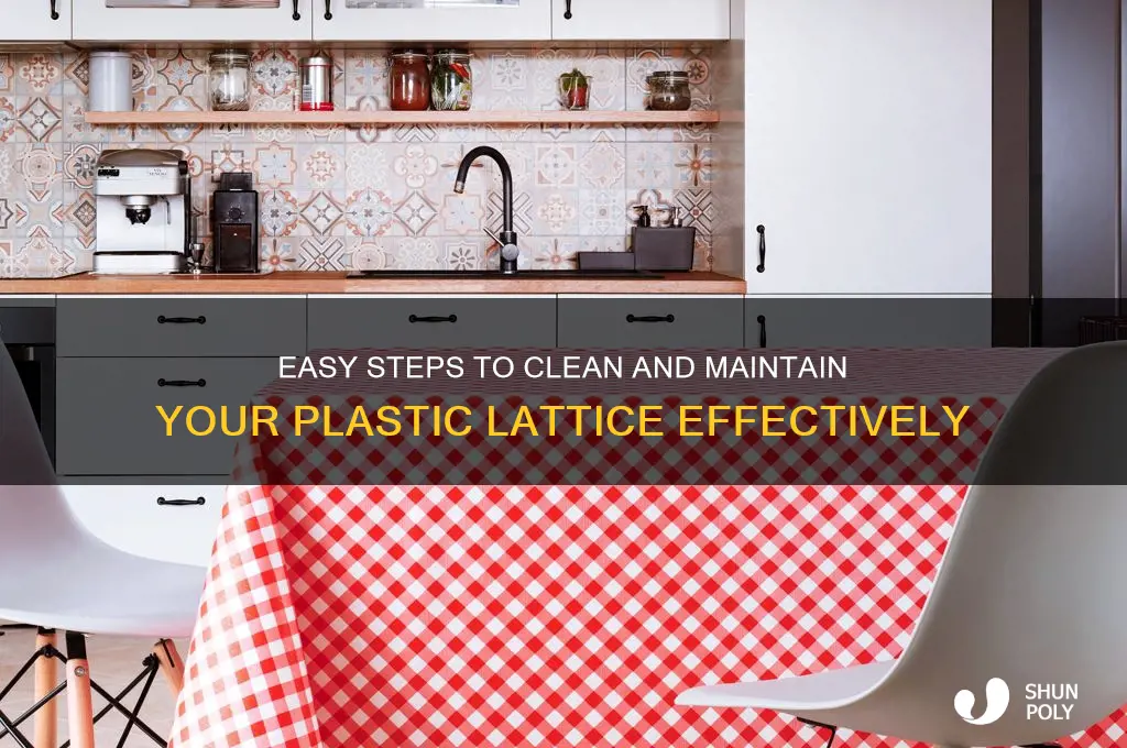 how to clean plastic lattice