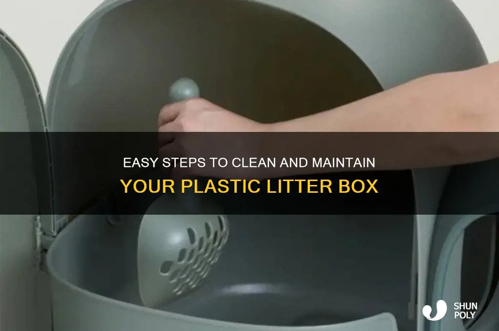 how to clean plastic litter box