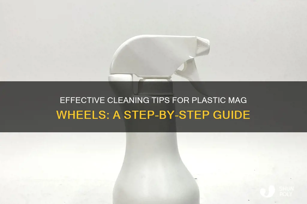 how to clean plastic mag wheels