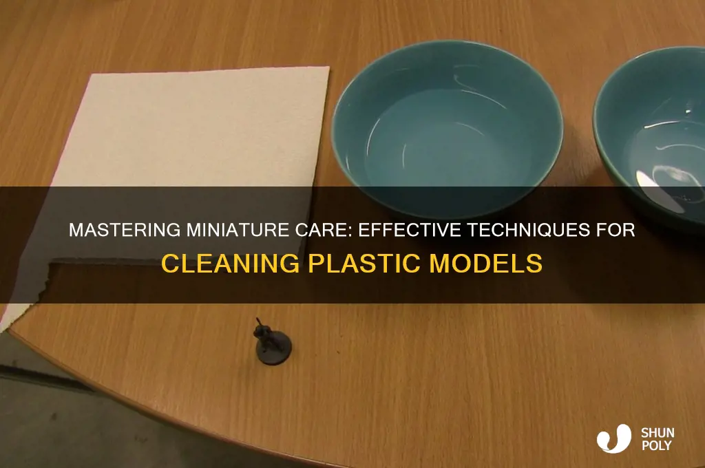 how to clean plastic miniatures