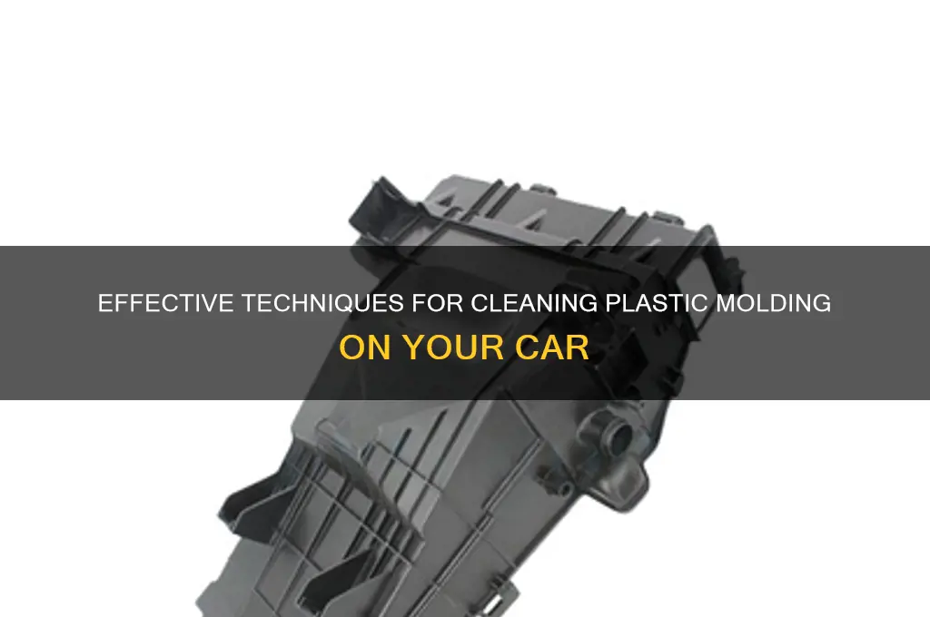how to clean plastic molding on car