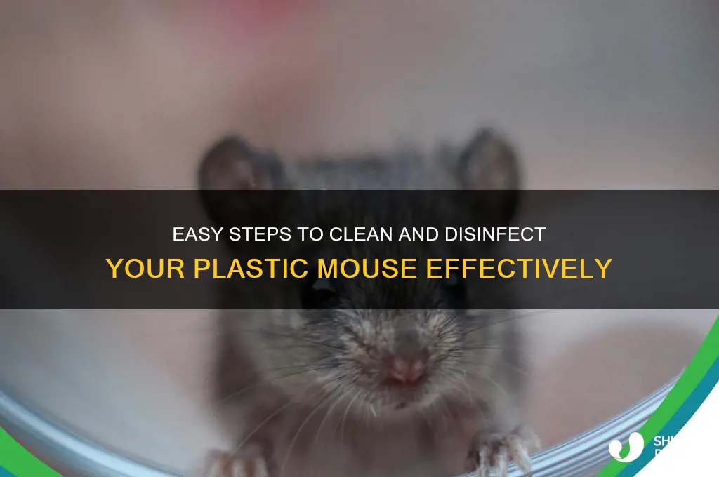 how to clean plastic mouse