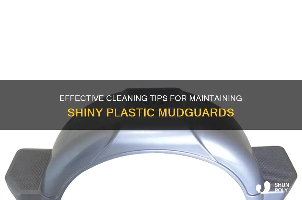 how to clean plastic mudguards