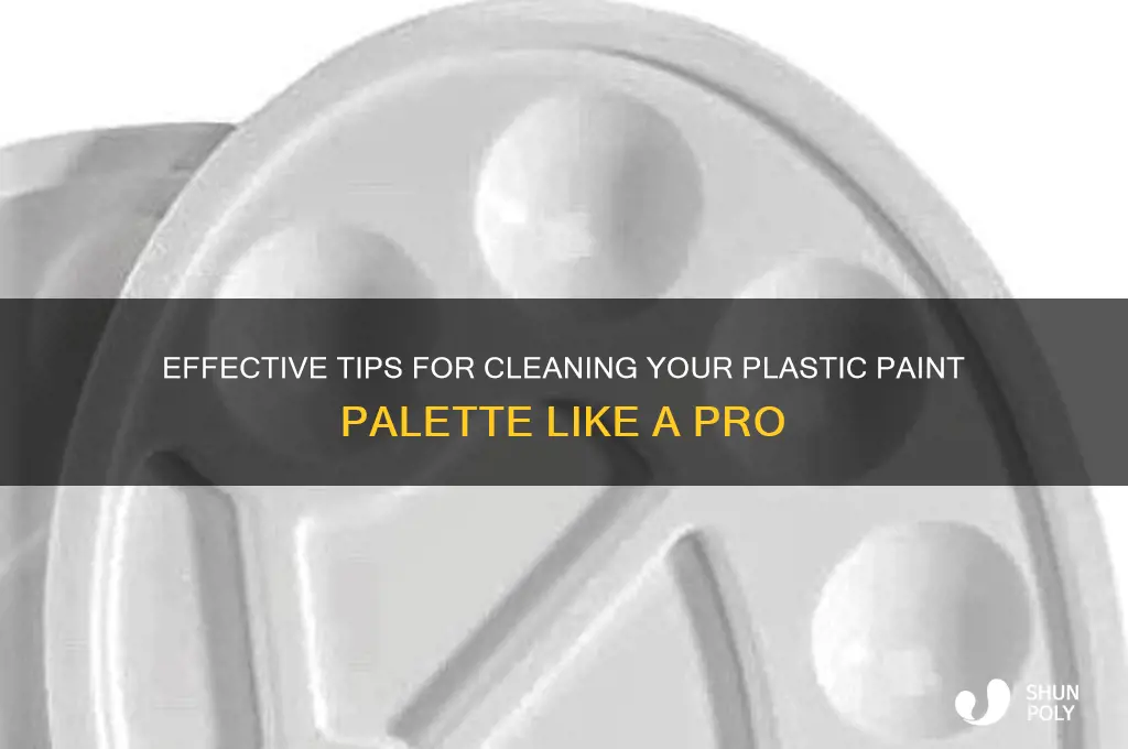 how to clean plastic paint palette