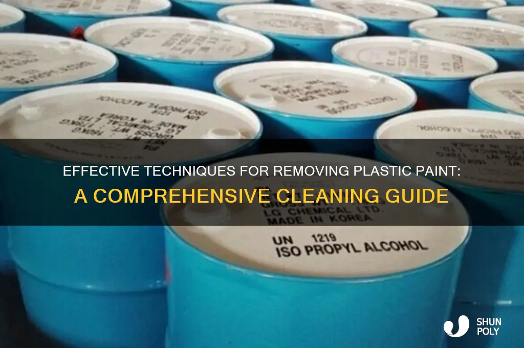 how to clean plastic paint