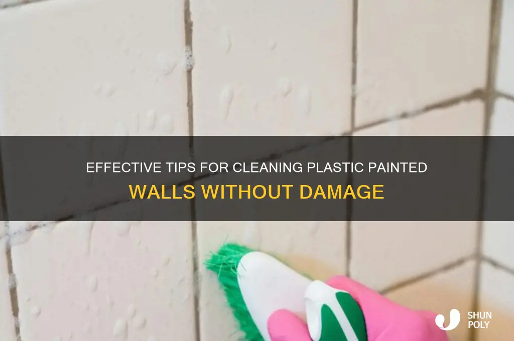 how to clean plastic painted walls