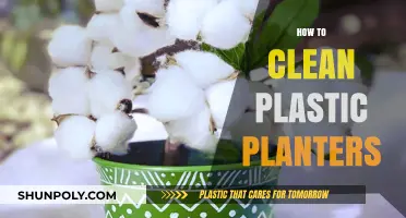 Effective Tips for Cleaning and Maintaining Your Plastic Planters