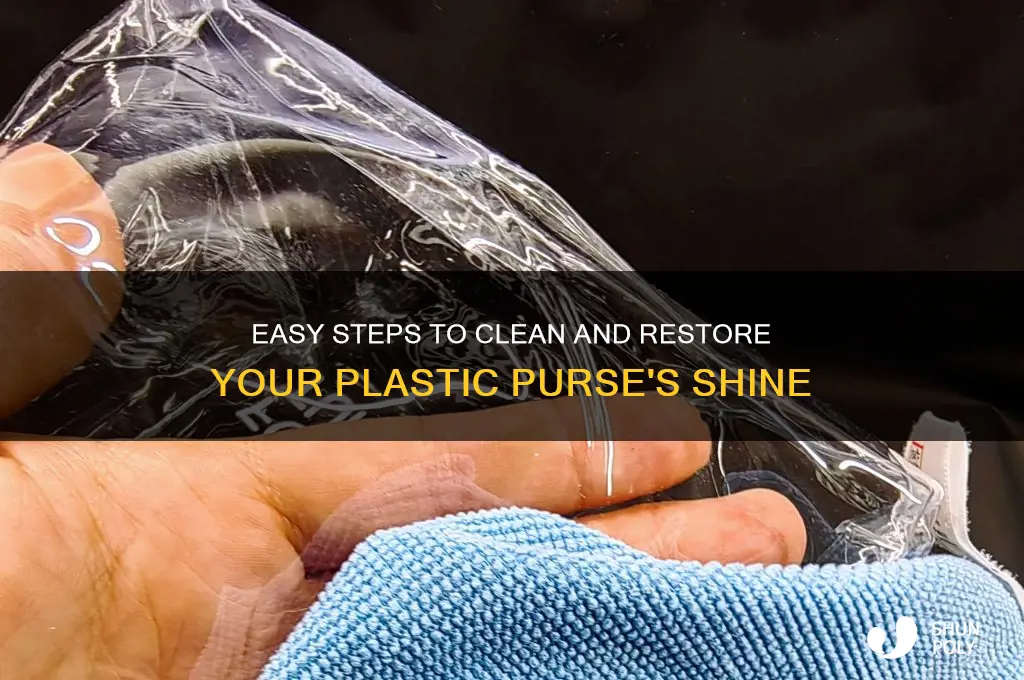 how to clean plastic purse