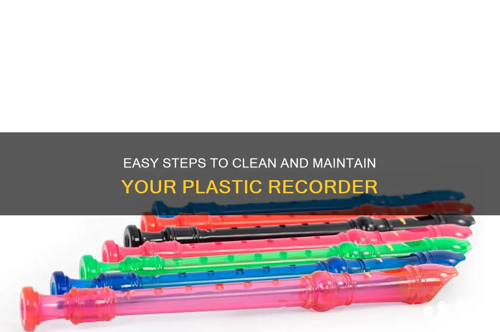 how to clean plastic recorder