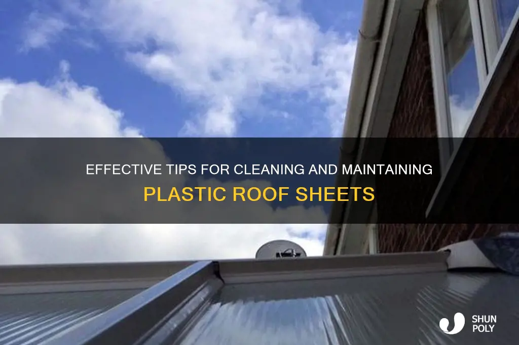 how to clean plastic roof sheets