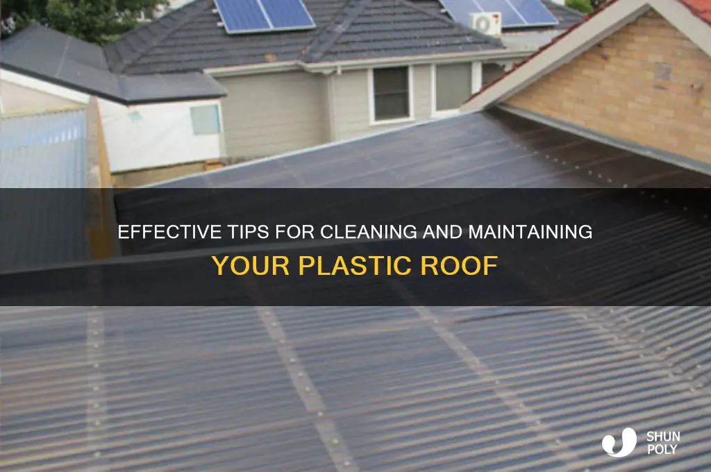 how to clean plastic roof