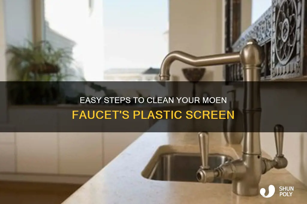 how to clean plastic screen on moen faucet