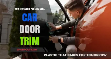 Easy Steps to Clean and Restore Plastic Seal Car Door Trim