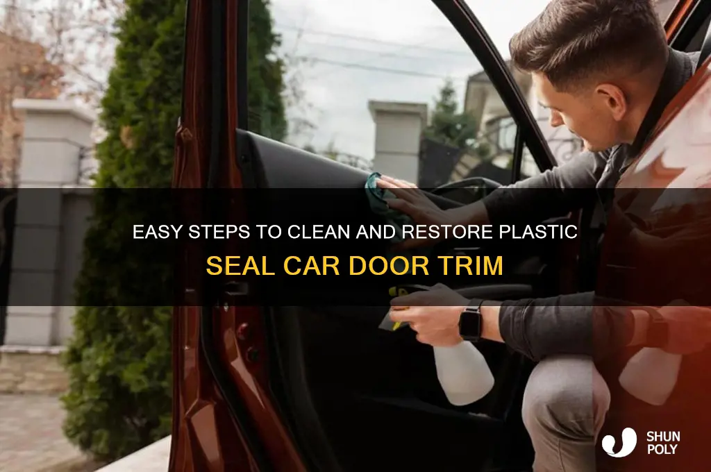how to clean plastic seal car door trim