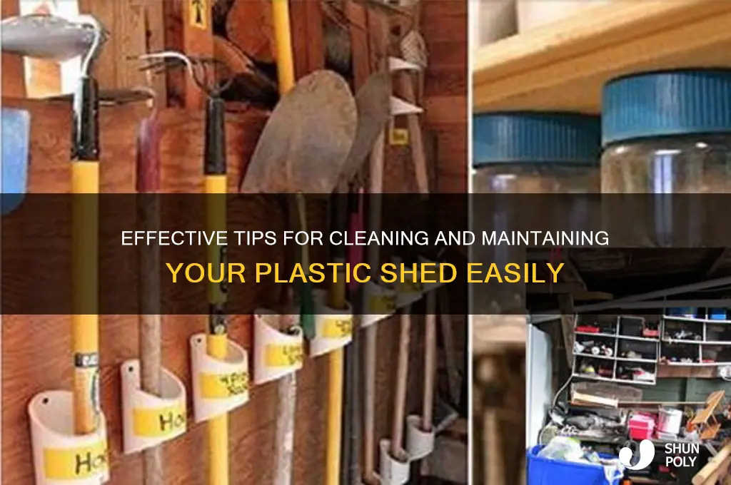 how to clean plastic shed