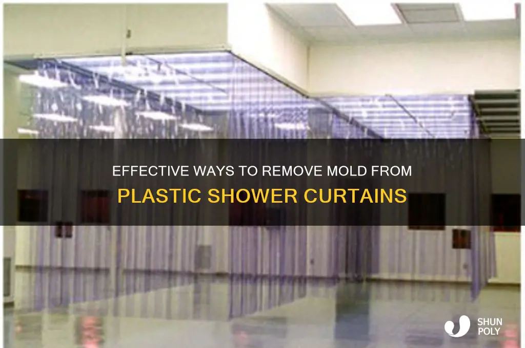 how to clean plastic shower curtain mold