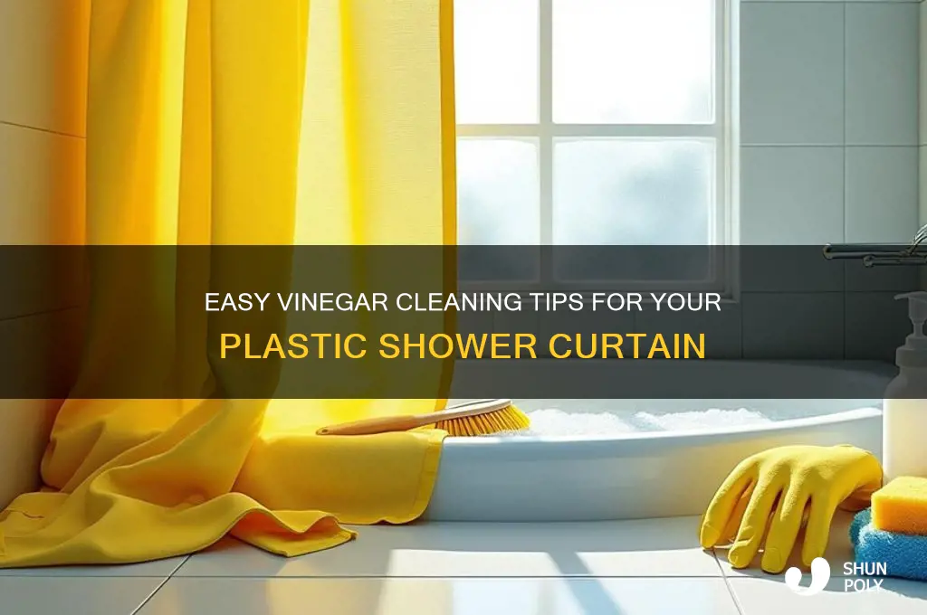 how to clean plastic shower curtain with vinegar