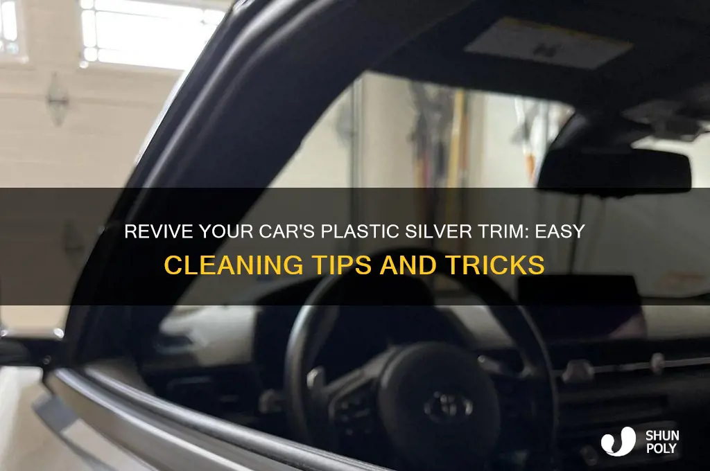 how to clean plastic silver trim on car
