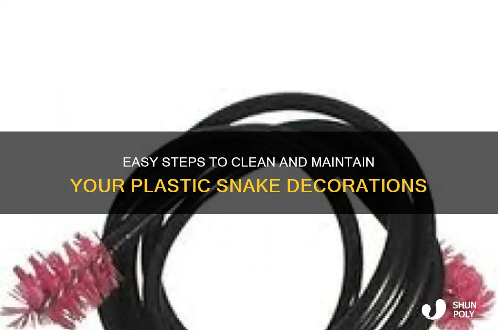 how to clean plastic snake decorations