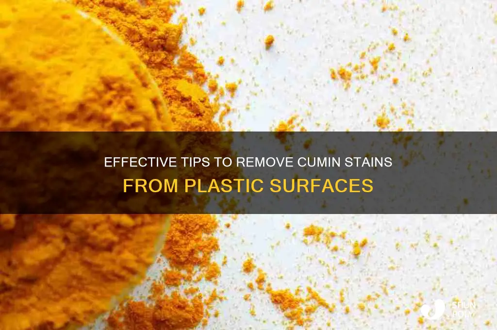 how to clean plastic stain cumin
